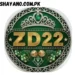 zd22 game logo image