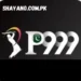 p999-game-logo-image.webp
